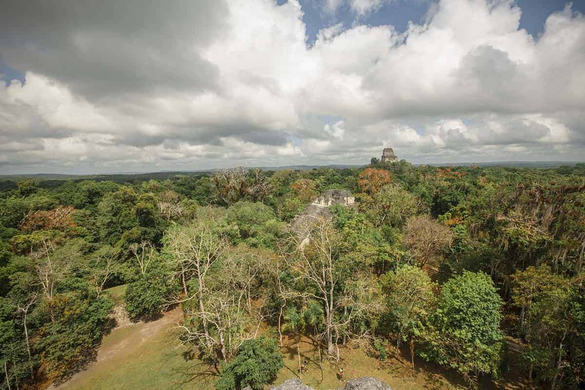 Tikal Tour From Flores: Is It Worth Booking? 37 view from on top of the great temple on our tikal tour from flores