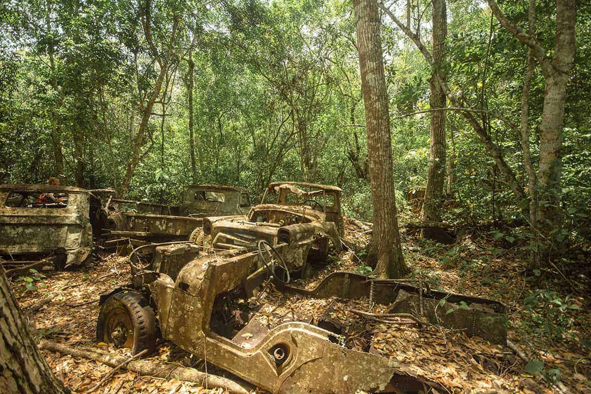 Tikal Tour From Flores: Is It Worth Booking? 47 abandoned cars in the jungle outside of tikal