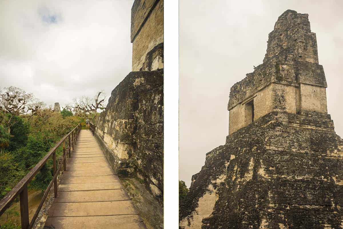 Tikal Tour From Flores: Is It Worth Booking? 43 climbing the impressive temple II in tikal