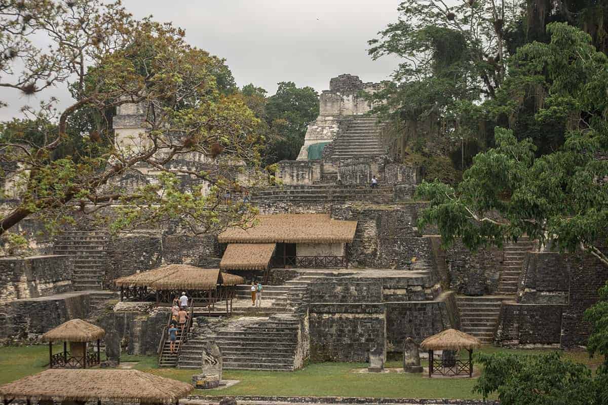 Tikal Tour From Flores: Is It Worth Booking? 42 looking over to the full view of the acropolis del norte from the acropolis central in tikal