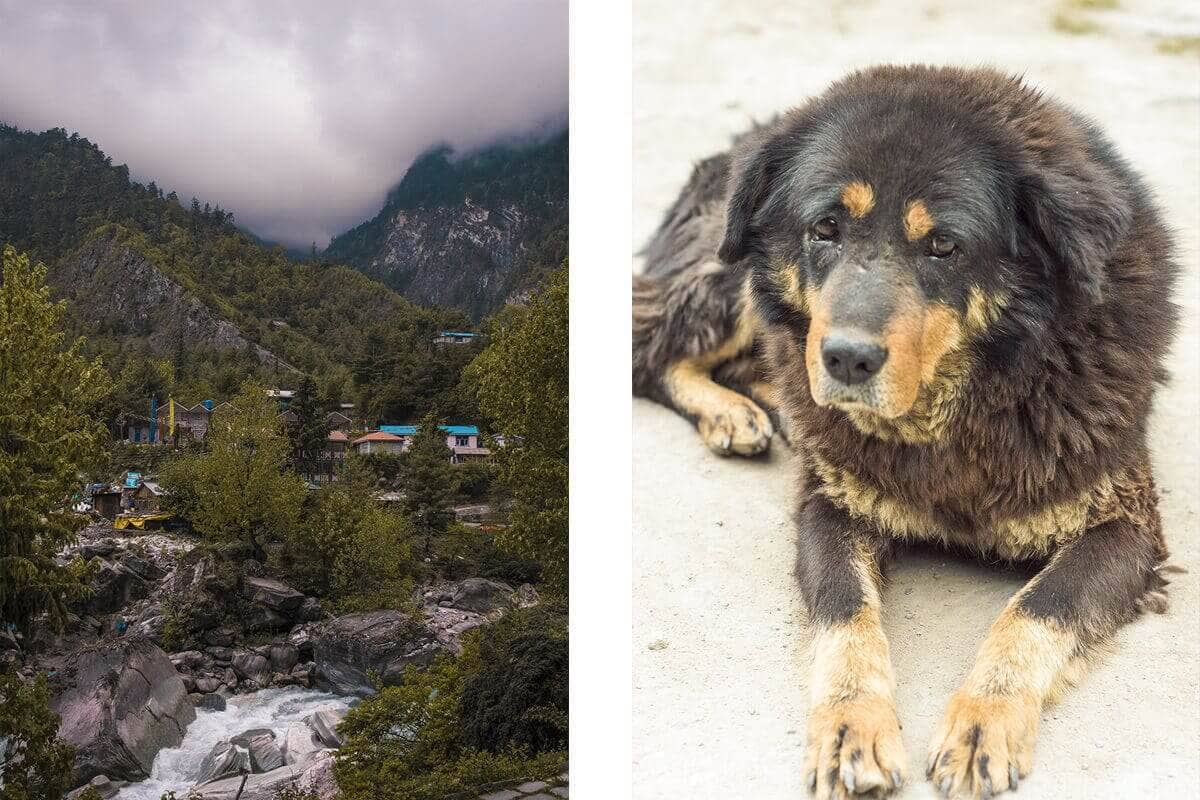 Day 4: Timang To Chame On The Annapurna Circuit 1 village of chame timang to chame annapurna circuit