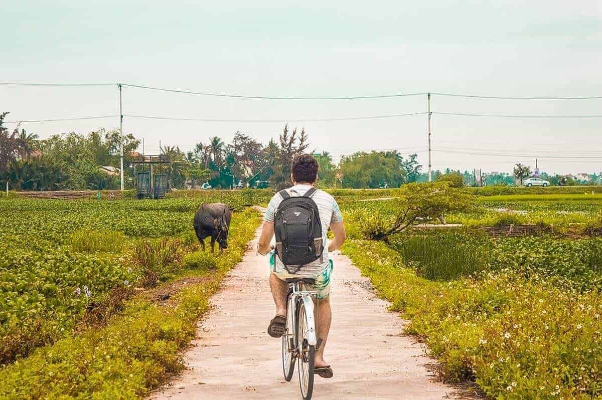 Tra Que Vegetable Village, Hoi An: Is It Worth Visiting? 10 riding a bike through fields with water buffalo in hoi an