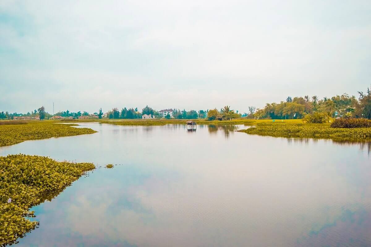 Tra Que Vegetable Village, Hoi An: Is It Worth Visiting? 20 algae lake at for tra que vegetable village hoi an vietnam
