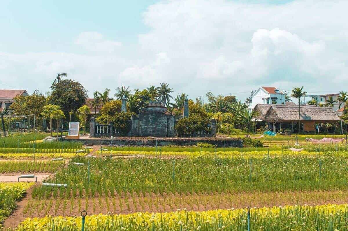 Tra Que Vegetable Village, Hoi An: Is It Worth Visiting? 17 temple in the middle of tra que vegetable village in hoi an