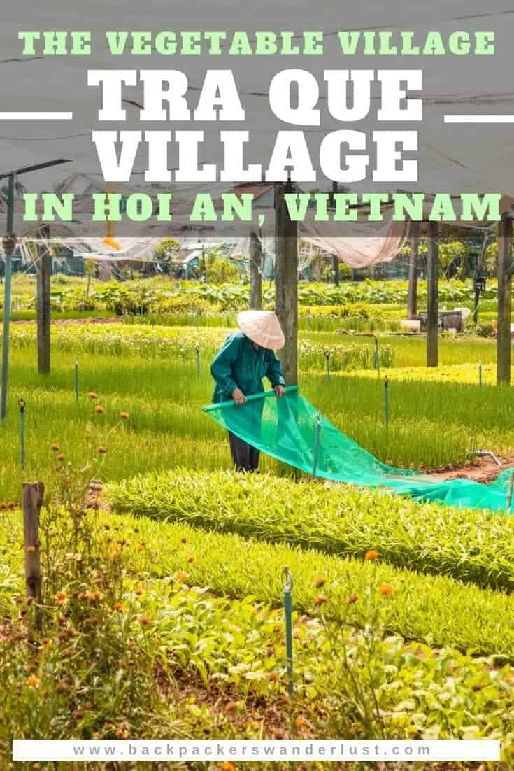 Tra Que Vegetable Village, Hoi An: Is It Worth Visiting? 21 Find out about visiting Tra Que Vegetable Village located in Hoi An, Vietnam. Learn about how to get there, what it actually is, my experience and more in this Tra Que Village guide!