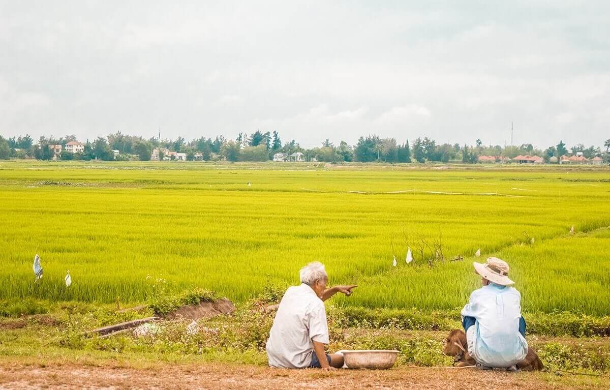 My Vietnam Trip Cost: How Cheap Is Vietnam and My $25 Daily Budget (2025) 5 farmers talking over rice fields in hoi an
