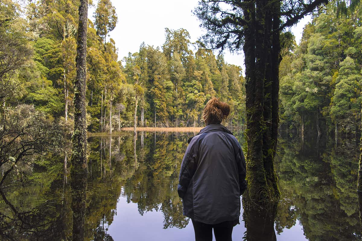 Waihora Lagoon Walk: BEST Short Hike In Taupo 10 looking out over the incredibly still waters of waihora lagoon