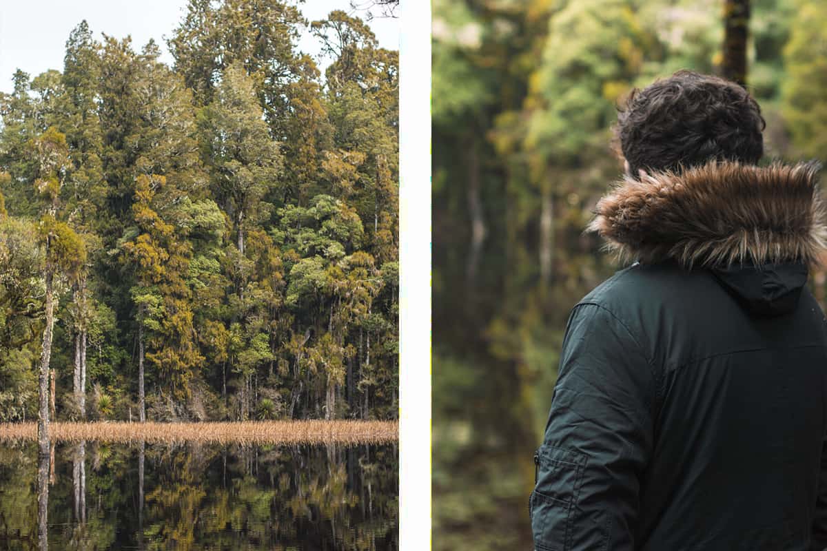 Waihora Lagoon Walk: BEST Short Hike In Taupo 5 reflections on the lagoon of the surrounding trees // looking out to the still water