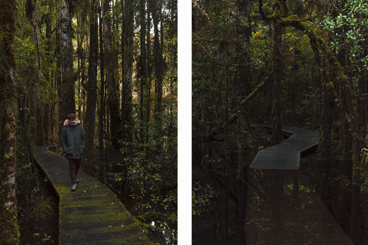 Waihora Lagoon Walk: BEST Short Hike In Taupo 9 the raised pathway over the lagoon // depending on the time of near you way find the pathway on the waihora lagoon walk in under water due to high rainfall