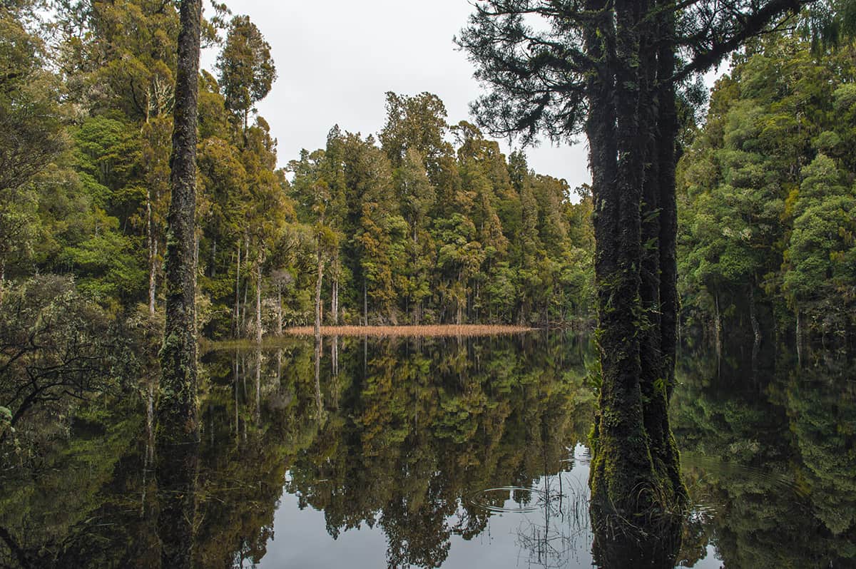 Waihora Lagoon Walk: BEST Short Hike In Taupo 4 a wide shot of the entire waihora lagoon, its well worth the 10 minute walk