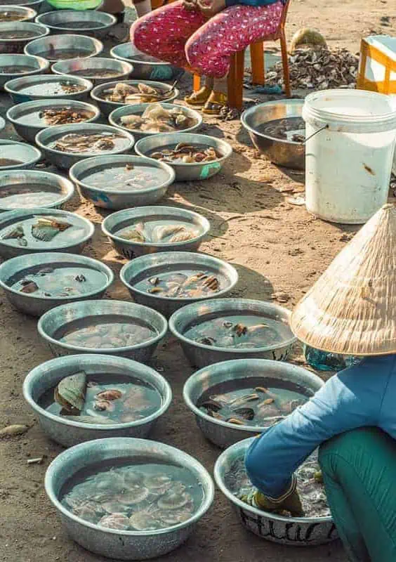 Is Mui Ne Worth Visiting & BEST Mui Ne Itinerary (2025) 11 local ladies sorting through the fresh catches at the fishing village in mui ne
