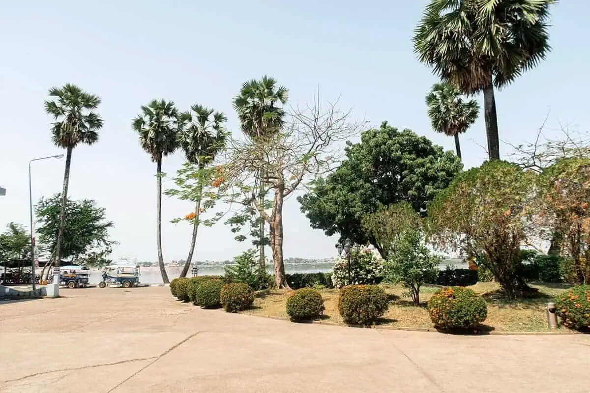 2 Weeks In Laos Itinerary: BEST Route North To South 36 palm trees along the mekong river in thakhek