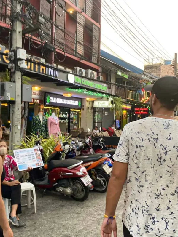 3 Week Thailand Itinerary: Islands, Cities & Culture (2025) 18 cannabis stores seem to be popping up everywhere around thailand now it has been legalized