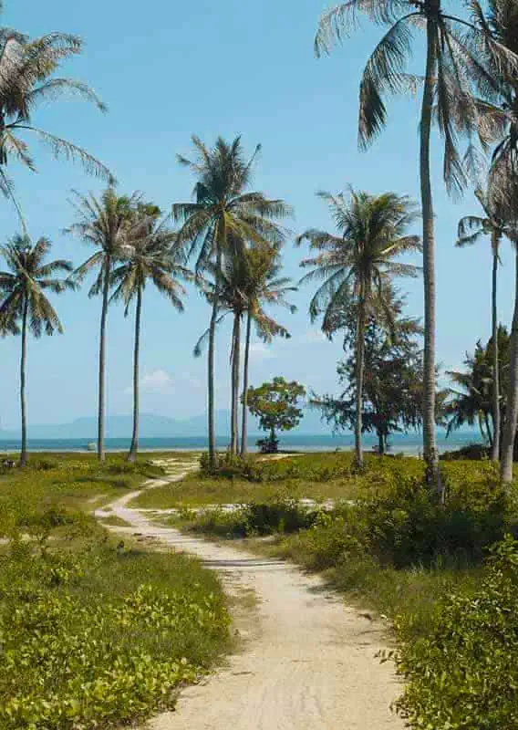 3 Week Thailand Itinerary: Islands, Cities & Culture (2025) 30 palm tree beaches in koh phangan while 3 weeks in thailand itinerary