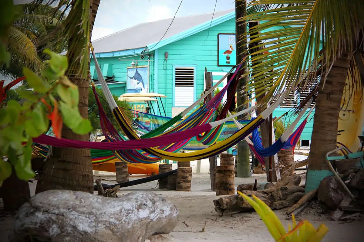 Ambergris Caye VS Caye Caulker: Which Island Is Best For Your Belize Paradise 7 Contemplating Ambergris Caye vs Caye Caulker? Envision yourself swaying in these vibrant hammocks on the laid-back Caye Caulker.