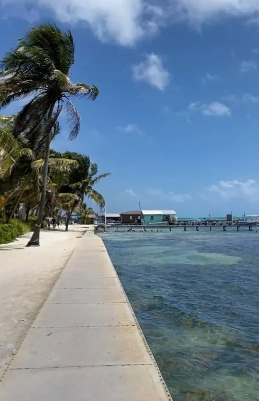 How To Travel From Bacalar To Belize City: All Options Explained 24 beautiful sights walking along the shoreline in ambergris caye