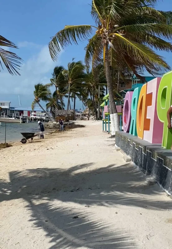 Backpacking Belize: The BEST Guide For Travelers 2025 14 locals cleaning up the sargassum along the beachfront at the san pedro sign