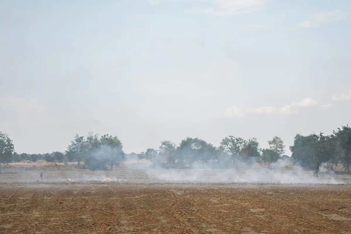 Battambang Bamboo Train: Is It Still Worth Visiting? 2025 19 Smoke rising from fires in a field around Battambang.