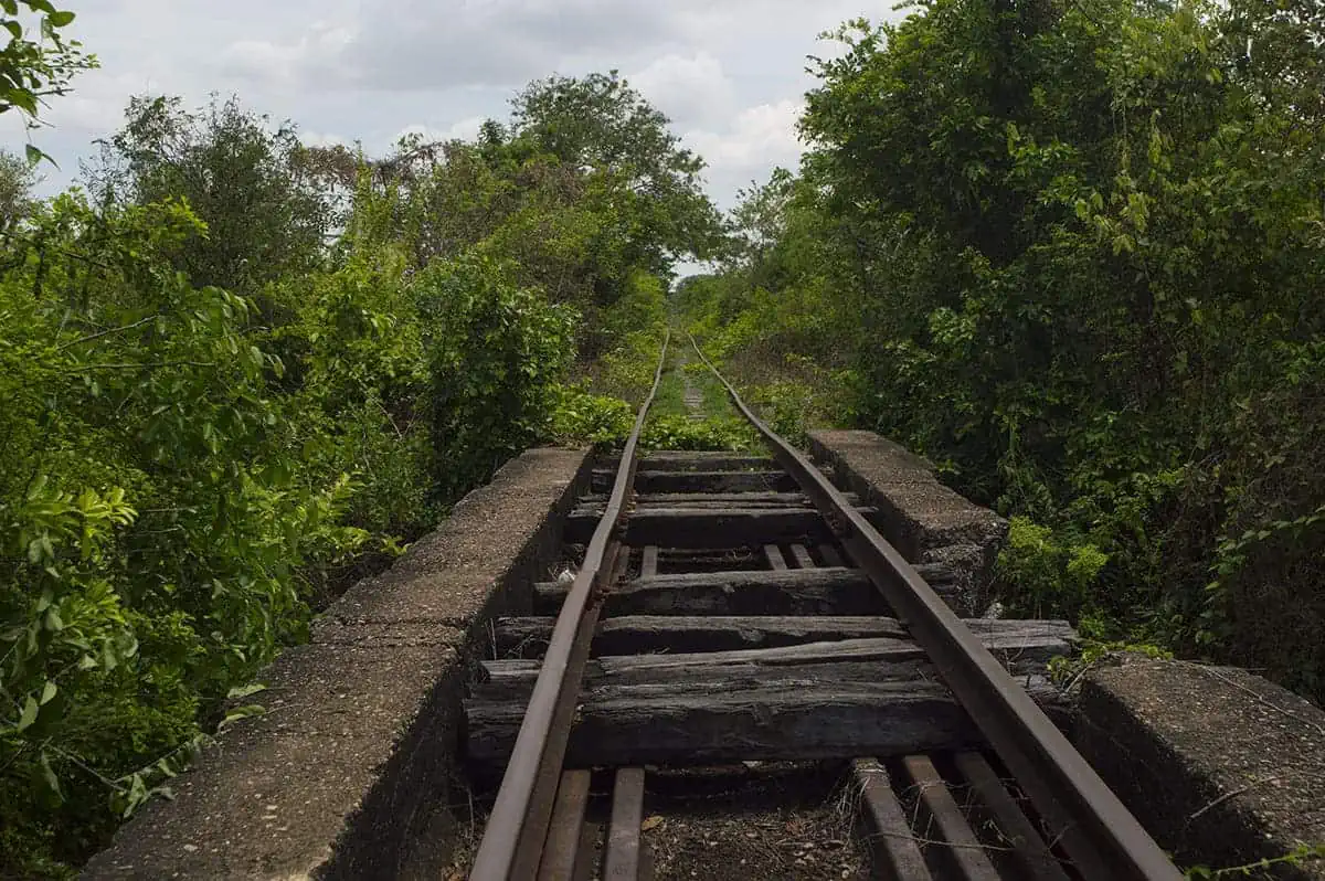 Battambang Bamboo Train: Is It Still Worth Visiting? 2025 12 A broken section of the Battambang railway shows warped rails and missing planks on a small bridge surrounded by jungle.
