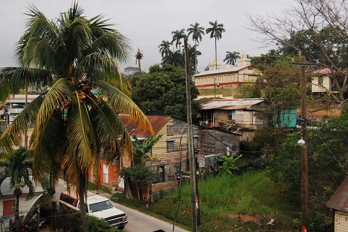 Belize Airport To San Ignacio: BEST Ways To Travel 6 Rustic street view in San Ignacio with a palm tree in the foreground and a mix of traditional houses