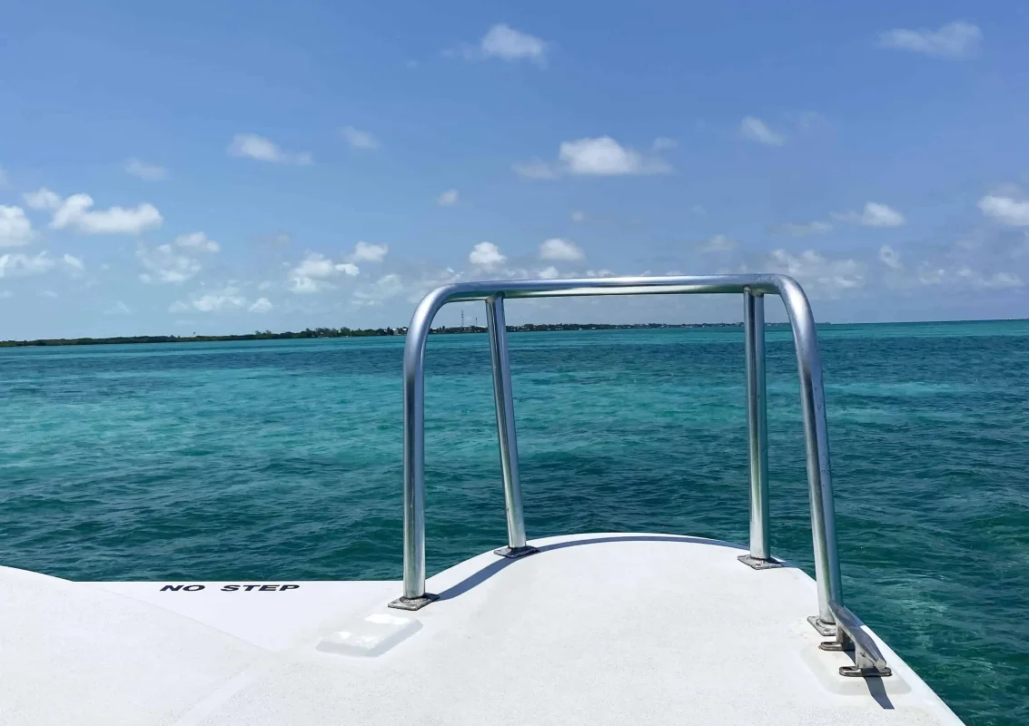 ow of a water taxi speeding towards Caye Caulker, a snapshot of the quintessential Belize City to Caye Caulker aquatic commute, with the island's lush silhouette in the distance.