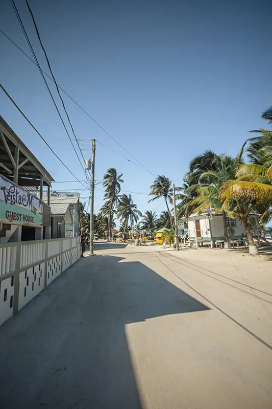quiet street in Caye Caulker basking in the sunlight, lined with palm trees and local businesses, inviting newcomers who have just traveled from Belize City to explore its charm