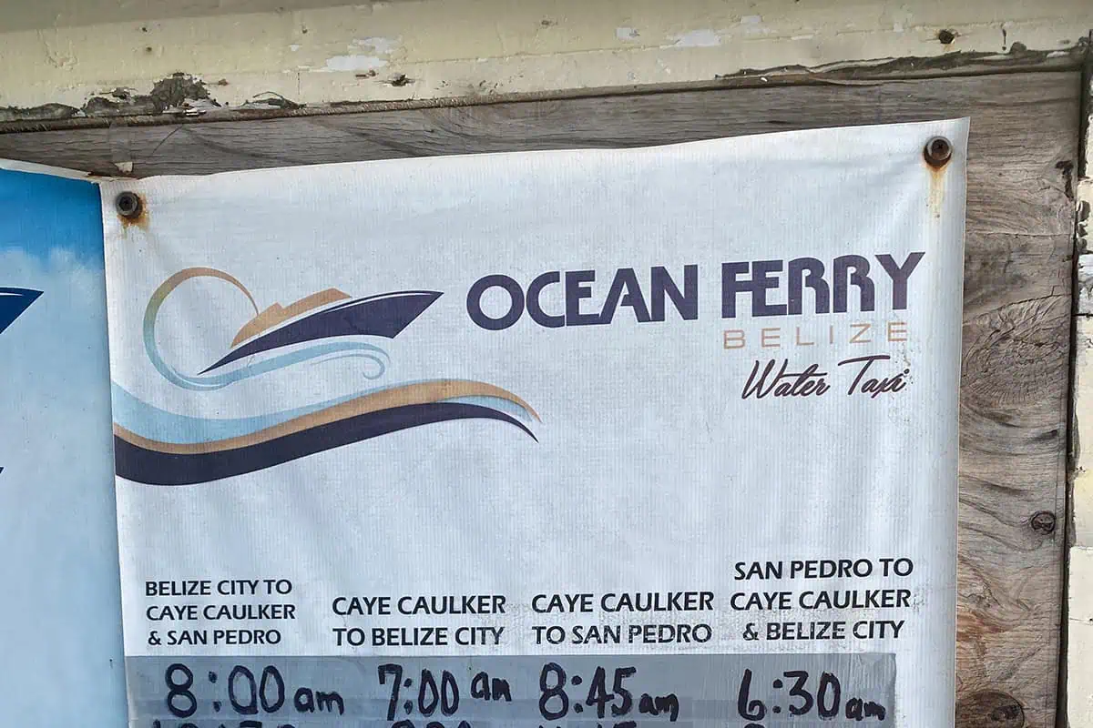 Belize City To Caye Caulker: BEST Boat Options 2025 4 A close-up of an Ocean Ferry Belize Water Taxi schedule banner, with listed departure times from Belize City to Caye Caulker and San Pedro, providing essential travel information for tourists making the journey.