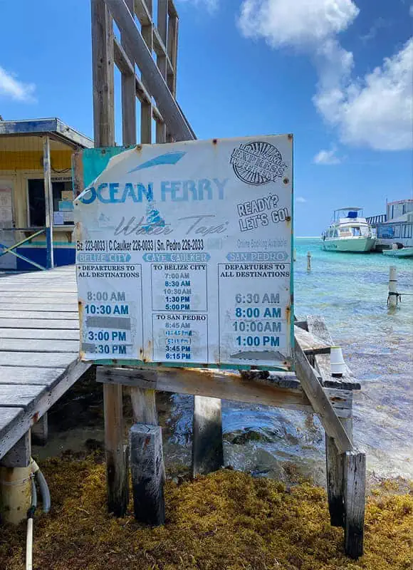 Timetable sign for the Ocean Ferry Belize service, detailing boat departure times, indicative of the tourist activities available in Belize in June.