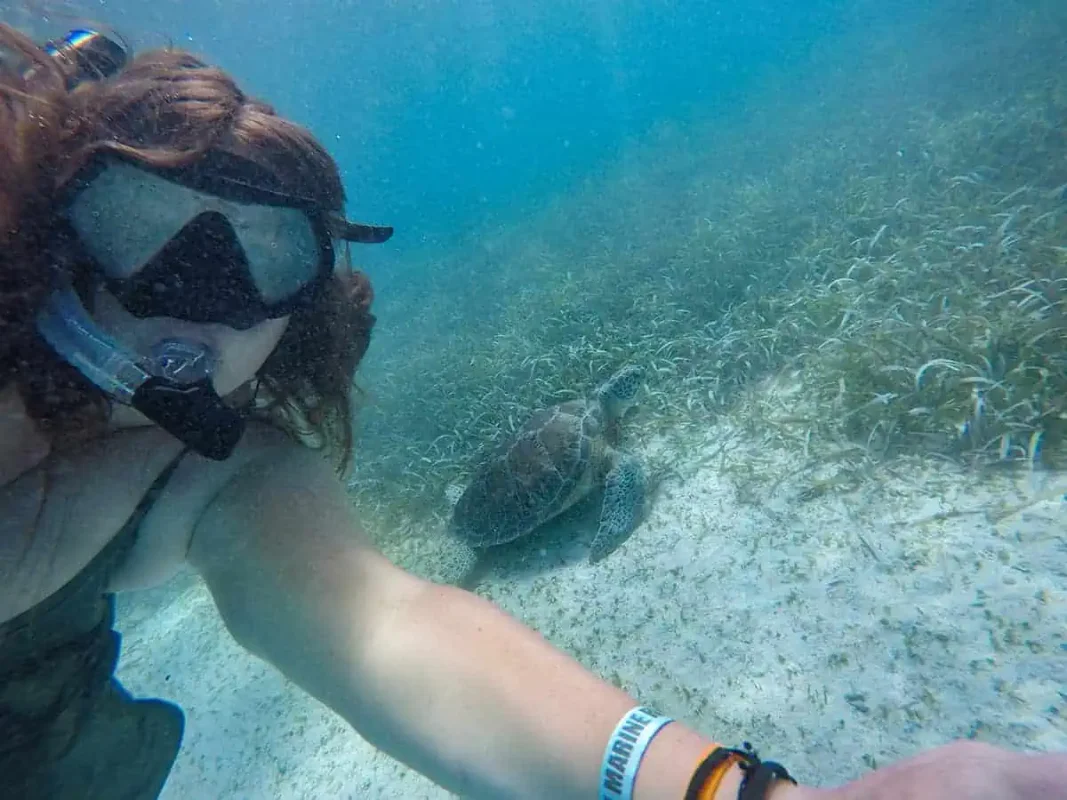 Belize Trip Cost: CRAZY $90.00 Per Day Budget (2025) 4 tasha amy swimming with a turtle in belize