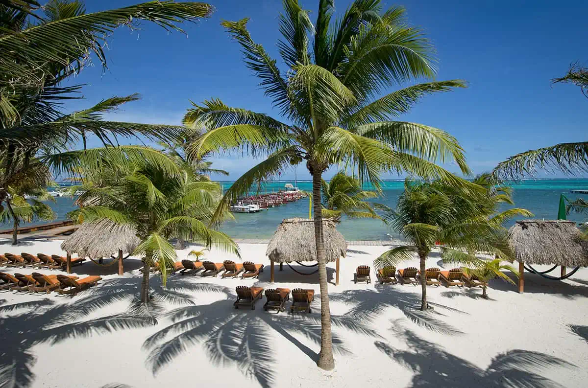 Best Beaches In Ambergris Caye: For Swimming, Snorkeling, Tanning & More 5 A beautiful beach scene with rows of sun loungers under the shade of palm trees facing the clear blue waters, exemplifying the serene beach life at Ambergris Caye.