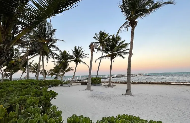 Best Beaches In Ambergris Caye: For Swimming, Snorkeling, Tanning & More 13 Tranquil beach scene at dusk with palm trees and a small yellow table, offering a peaceful and secluded setting on Ambergris Caye.