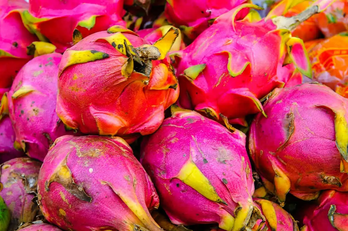 Fruits In Belize: The BEST 24 Fruits Worth Trying On Your Visit 15 Close-up of bright pink dragon fruit, with vivid yellow accents, adding to the colorful spectrum of Belizean fruits.