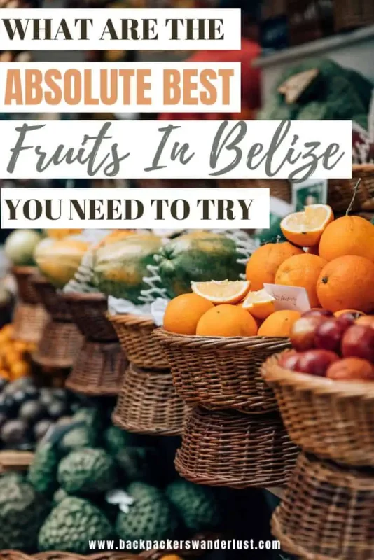 Fruits In Belize: The BEST 24 Fruits Worth Trying On Your Visit 28 Belize is known as a tropical paradise, and what goes in hand with that, is delicious fruits! So come discover the absolute best fruits in Belize worth trying on your holiday. Who knows, you may even discover a new favorite!