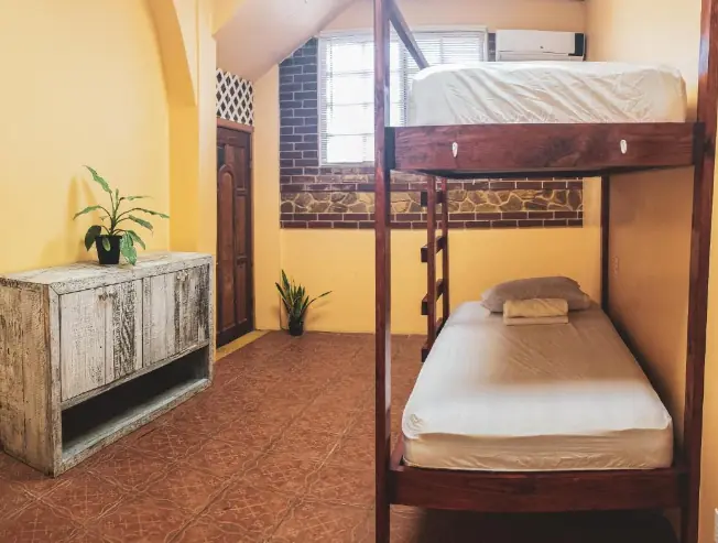 Best Hostels In San Ignacio: 5 Excellent Stays For Travelers On A Budget 6 Charming dorm room with warm yellow walls and wooden bunk beds, featuring a rustic chest and potted plants, at Yellow Belly Backpackers, a highly-rated hostel in San Ignacio.