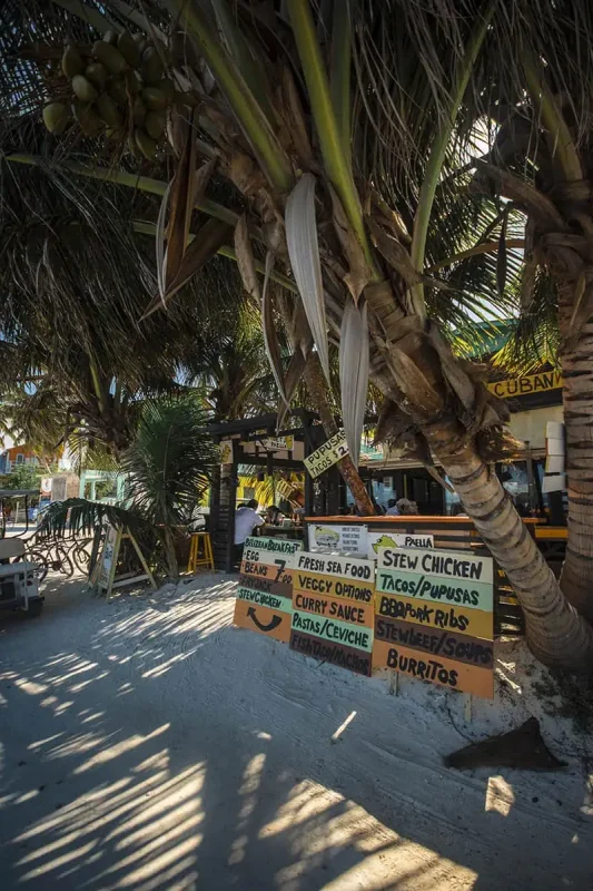 BEST Restaurants On Caye Caulker Worth Trying 2025 27 A rustic street food stall under a palm tree on Caye Caulker, Belize, featuring a variety of meal options listed on colorful signs such as paella, stew chicken, and burritos. This scene captures the laid-back, tropical atmosphere that makes this one of the best restaurants on Caye Caulker for casual dining.