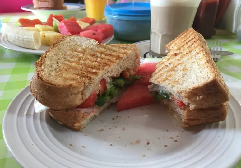 BEST Restaurants On Caye Caulker Worth Trying 2025 13 A freshly prepared sandwich with tomatoes, lettuce, and cheese on toasted bread, accompanied by slices of watermelon and other fruits on a patterned green tablecloth from amor y cafe