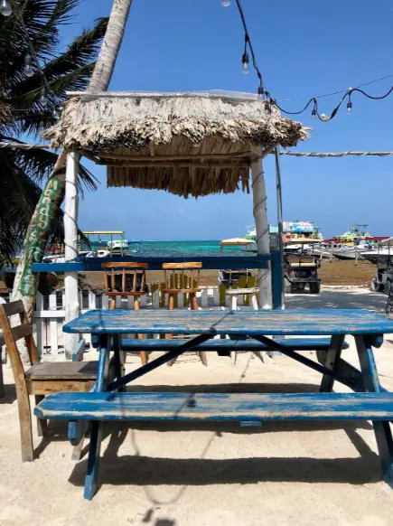 BEST Restaurants On Caye Caulker Worth Trying 2025 16 A rustic wooden picnic table under a thatched roof gazebo on the sandy beach of Caye Caulker, at Barrier Reef Sports Bar & Grill. The table overlooks the Caribbean Sea, framed by palm trees and a clear blue sky, offering a prime seaside dining experience that marks it as a favorite among the best restaurants on Caye Caulker.