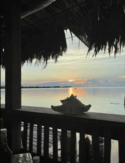 BEST Restaurants On Caye Caulker Worth Trying 2025 24 A serene sunset view from Pelican Sunset Bar, showcasing the calm waters of Caye Caulker as the sun dips below the horizon. The image is framed by the thatched roof of the bar, creating a cozy, inviting atmosphere for enjoying the evening’s natural beauty. This setting highlights why Pelican Sunset Bar is celebrated as one of the best places to experience a sunset on Caye Caulker