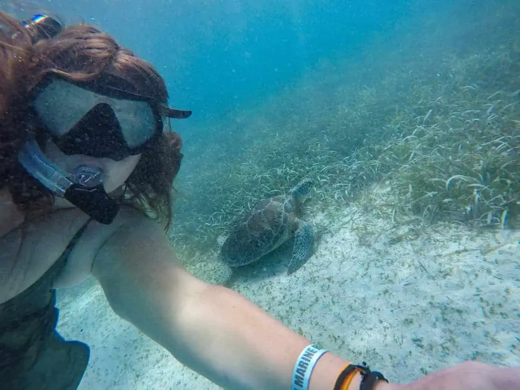 The 31 BEST Things To Do In Caye Caulker: Ultimate List! 14 tasha amy captures a selfie with a sea turtle swimming just behind her in the shallow, clear waters of Caye Caulker. The snorkeler wears a mask and snorkel, her hair floating around her as she takes the photo. This close encounter with a sea turtle, one of the majestic creatures of the ocean, is among the best things to do in Caye Caulker.
