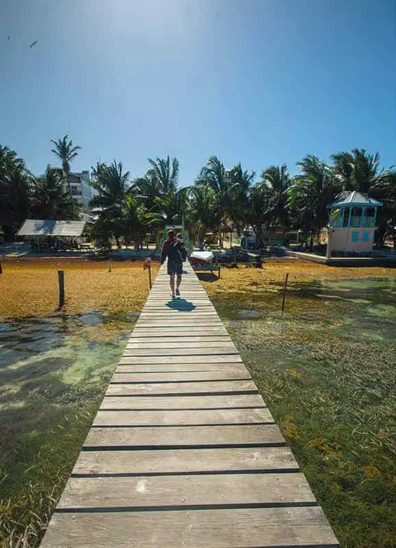 The 31 BEST Things To Do In Caye Caulker: Ultimate List! 9 A person walks down a wooden pier towards a beach lined with palm trees in Caye Caulker. The water is clear with patches of seaweed, and a small wooden building with blue accents is visible on the right side. One of the best things to do in Caye Caulker is to explore these picturesque piers.