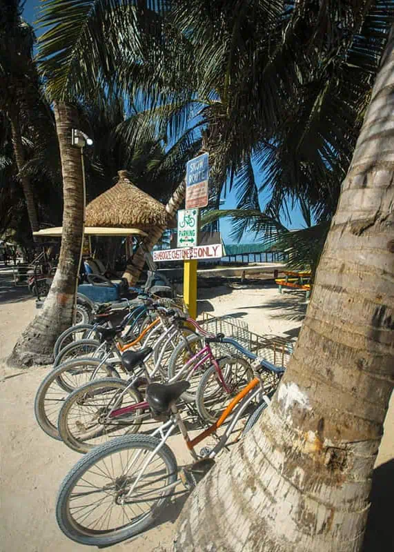 The 31 BEST Things To Do In Caye Caulker: Ultimate List! 8 Several bicycles are parked on a sandy path under the shade of palm trees in Caye Caulker. A sign indicates "Booze and Guest Only" parking, with a thatched-roof hut and a glimpse of the beach in the background. Renting a bike is one of the best things to do in Caye Caulker for easy island exploration.