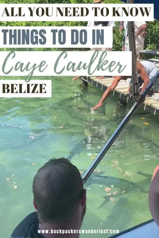 The 31 BEST Things To Do In Caye Caulker: Ultimate List! 42 Discover the best things to do in Caye Caulker with this ultimate guide for all travelers. Find out how to blend island adventures such as swimming with manatees with the vibrant local culture, ensuring a memorable experience.