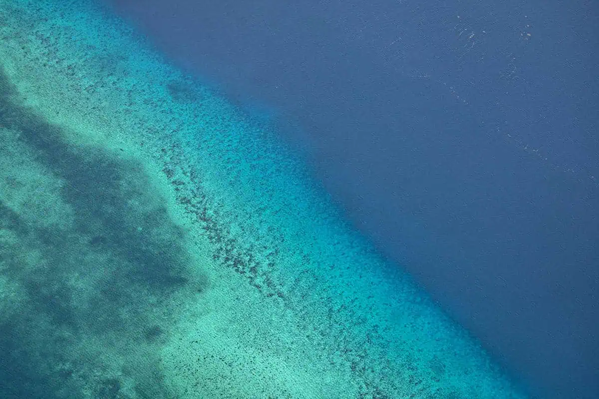 41 Best Things To Do In Ambergris Caye For The Ultimate Holiday 22 A close-up of the breathtaking Belize Barrier Reef near Ambergris Caye, showcasing the vibrant marine ecosystem with a myriad of textures and colors, perfect for underwater exploration.