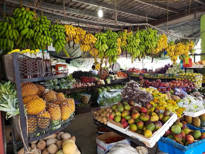 25+ Best Things To Do In San Ignacio, Belize (2025) 6 A bustling market stall in San Ignacio displaying an array of fresh fruits and vegetables, including bananas, pineapples, mangoes, and more. The vibrant colors and variety of produce highlight the local agricultural bounty and market culture.