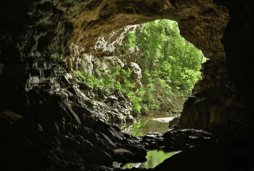 25+ Best Things To Do In San Ignacio, Belize (2025) 24 View from inside rio frio cave looking out towards a verdant forest and a tranquil river. The cave's rocky entrance frames the lush landscape, highlighting the natural beauty and adventurous things to do in San Ignacio.