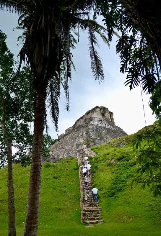25+ Best Things To Do In San Ignacio, Belize (2025) 10 A group of tourists climbing the steep stone steps of the Xunantunich Mayan ruin. The pyramid is framed by tall palm trees, and intricate carvings are visible on the ancient structure, highlighting the historical and cultural attractions in the area.