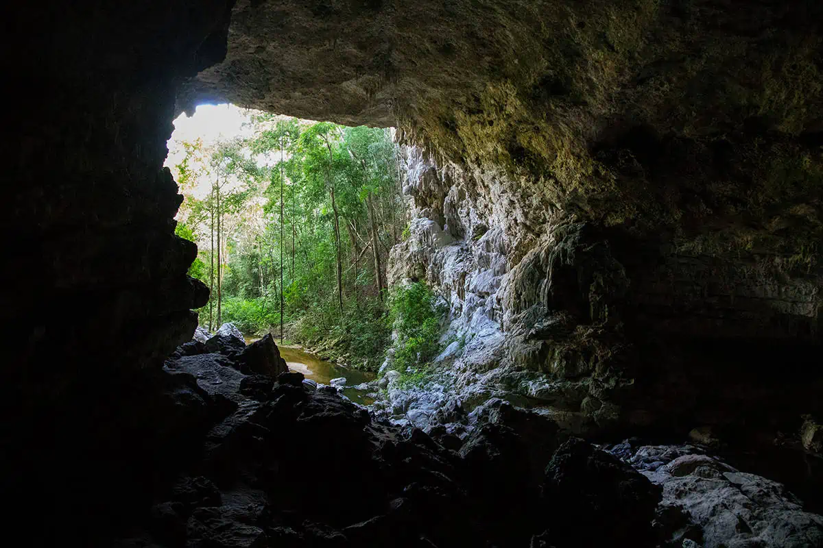 25+ Best Things To Do In San Ignacio, Belize (2025) 7 View from inside a dark cave looking out towards a lush, sunlit forest. The cave entrance is framed by rocky edges, and a small stream flows through the greenery, highlighting the best things to do in San Ignacio.