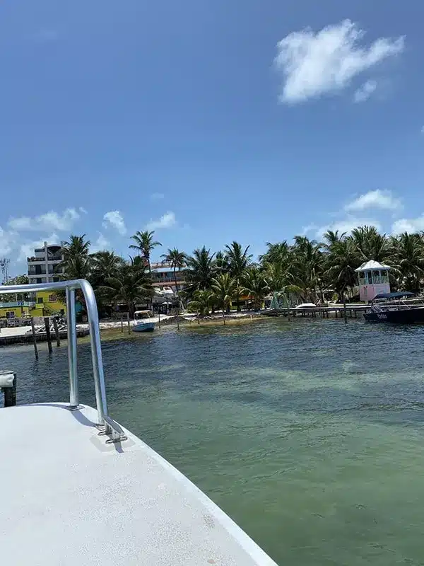 Caye Caulker To Belize City: Best & Easiest Ways 10 A view of a boat on the water with palm trees in the background, capturing the tranquil beauty of Caye Caulker.