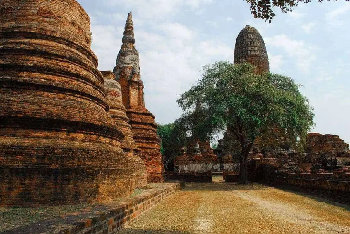 Ayutthaya Day Trip From Bangkok: BEST Guide (2025) 19 Wat Phra Ram orange temples surrounded by trees