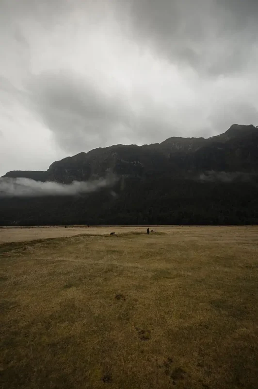 Eglinton Valley: ULTIMATE Guide For Visiting (2025) 6 A wide expanse of dry, golden grass with a solitary figure in the distance, surrounded by dark, forested mountains shrouded in low-hanging clouds. The sky above is overcast, adding to the moody ambiance of Eglinton Valley.